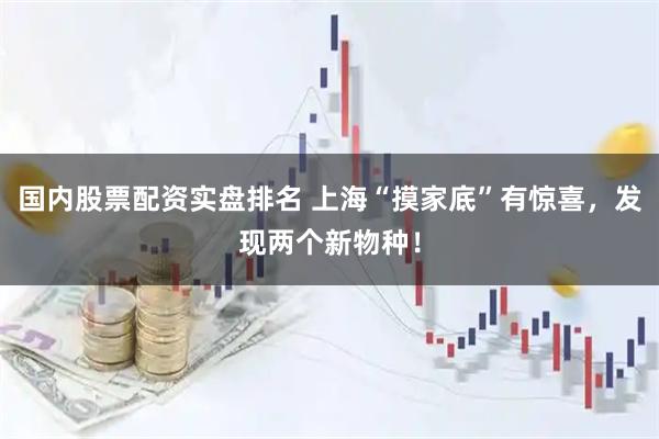 国内股票配资实盘排名 上海“摸家底”有惊喜，发现两个新物种！